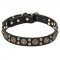 "Boho Style" Pit Bull Dog Collar with Rich Adornment - 1 1/4 inch (30 mm) wide