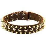 3 Rows Leather Pitbull Collar with Nickel Studs and Brass Spikes