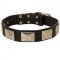 Walking Leather Pitbull Collar with Vintage Massive Plates