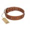 "Silver Age" Fashionable FDT Artisan Tan Leather Pitbull Collar with Silver-Like Studs