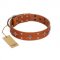 "Tawny Beauty" FDT Artisan Tan Leather Pitbull Collar Adorned with Stars and Tiny Squares