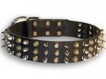 Awesome Leather Dog Collar for Pitbull Adorned with Spikes and Pyramids