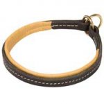 Stitched Leather Pitbull Choke Collar for Control Over Your Dog
