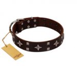 "Trendy Candy" FDT Artisan Brown Leather Pitbull Collar Adorned with Stars and Tiny Squares