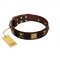 "Crazy Pirate" FDT Artisan Brown Leather Pitbull Collar with Old Bronze-Plated Skulls and Plates