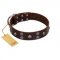 "Skull Valley" Handcrafted FDT Artisan Brown Leather Pitbull Collar with Skulls