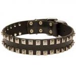 Original Leather Pitbull Collar with 2 Rows of Nickel Studs