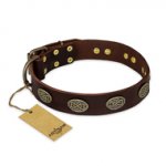 "Chocolate kiss" FDT Artisan Leather Pitbull Collar with Old Bronze Look Oval Plates