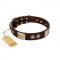 "Sense of Freedom" FDT Artisan Brown Leather Pitbull Collar with Old Bronze-Plated Studs and Plates