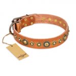 "Feast of Luxury" FDT Artisan Tan Leather Pitbull Collar with Old Bronze Look Circles