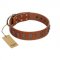 "Silver Century" Fashionable FDT Artisan Tan Leather Pitbull Collar with Silver-Like Plates