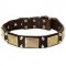 Leather Pitbull Collar Decorated with Brass Massive Plates and Nickel Pyramids
