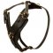 Luxury Handcrafted Padded Leather Harness for Pitbulls