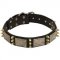 Gorgeous Leather Pitbull Collar