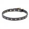 'Stars' Decorated Leather Pitbull Collar with Brass Studs - 4/5 inch (20 mm) wide