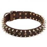 Adjustable Leather Pitbull Collar for Training with Spikes and Studs