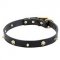 'Rock the Goth' Leather Pitbull Collar with Brass Skulls and Spikes - 1 inch (25 mm) wide