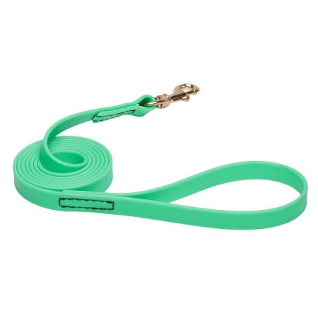 Green Waterproof Pitbull Leash Made of Biothane