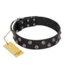 "Power-Flower" FDT Artisan Black Leather Pitbull Collar with Two Rows of Silver-like Studs with Engraved Flowers