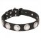 "Maya Indians" Pit Bull Wide Leather Dog Collar with Chrome Plated Circles - 1 1/2 inch (40 mm) wide