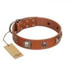 "Amorous Escapade" Embellished FDT Artisan Tan Leather Pitbull Collar with Chrome Plated Crossbones and Plates
