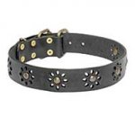 'Spring Mood' Pitbull Leather Collar for Walking in Style - 1 1/2 inch (40 mm) wide