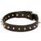 Durable Leather Pitbull Collar with Hand-Set Spikes