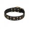 'Jolly Rojer' FDT Artisan Pitbull Leather Dog Collar with Pirate Skulls and Studs - 1 1/2 inch (40 mm) wide