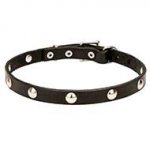 'Shiny Necklace' Trendy Design Pit Bull Leather Dog Collar - 3/4 Inch (20 mm) wide