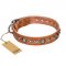 "Daily Chic" FDT Artisan Tan Leather Pitbull Collar with Decorations