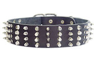 Extra Wide Decorated Leather Pitbull Collar with Spikes and Half Pyramids
