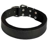 Practicable Padded Leather Pitbull Collar for Effective Training