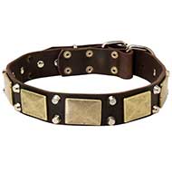 Leather Pitbull Collar Decorated with Brass Massive Plates and Nickel Pyramids