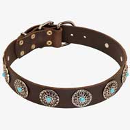 Designer Leather Pitbull Collar with Precious Conchos