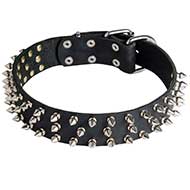 Leather Pitbull Collar Decorated with 3 Rows of Spikes