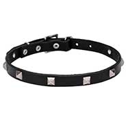 'A La Mode' 3/4 Inch (20 mm) Pit Bull Leather Dog Collar with Pyramids