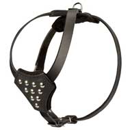 Padded Leather Pitbull Puppy Harness for Walking and Training