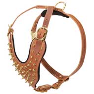 Handcrafted Padded Leather Pitbull Harness with Brass Spikes for Walking