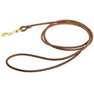 Handcrafted Round Leather Dog Leash for Pitbull