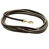 Extra Long Tracking Leather Dog Leash for Pitbull