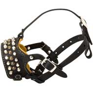 Anti-Barking Leather Pit Bull Muzzle with Studs for Training