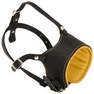 Anti-Barking Nappa Padded Leather Pitbull Muzzle