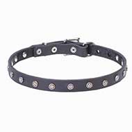 "Stellar" 20 mm Leather Dog Collar with Nickel Plated Stars