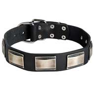 Fashion Leather Dog Collar for Pitbull with Large Nickel Plates