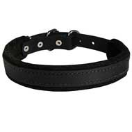 Leather Pitbull Collar - Felt Padded Dog Gear for Attack/Agitation Training