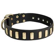 Matchless Leather Dog Collar for Pitbull With Plates