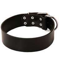Classic Extra Wide Leather Dog Collar for Pitbull Training