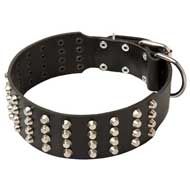 Wide Pyramid Studded Leather Dog Collar For Pitbull