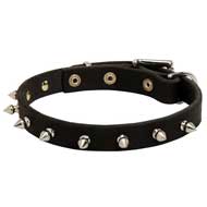 Spiked Leather Dog Collar for Pitbull