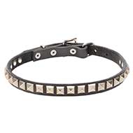'King Studs' Leather Pitbull Collar with Chrome Plated Adornments - 4/5 inch (20 mm)